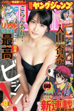 木棉花的春天演员表